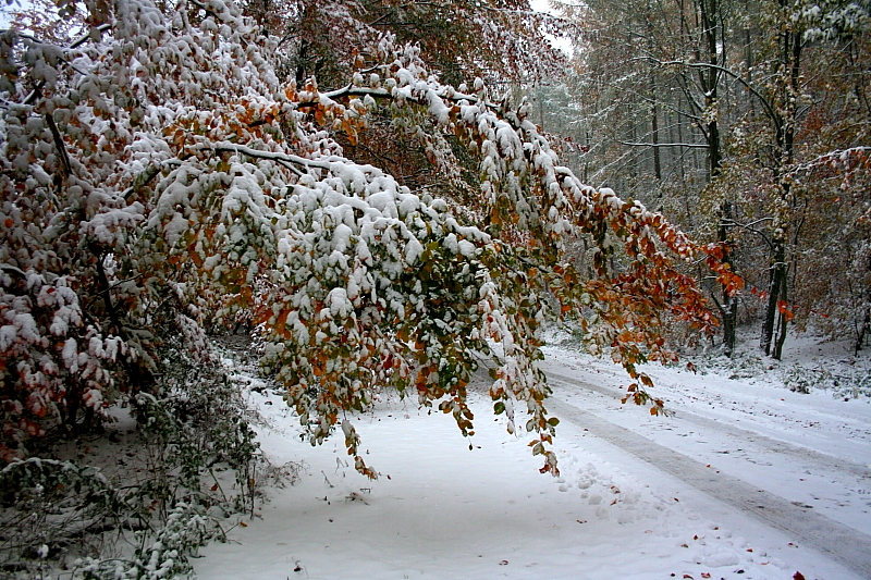 Killikus® Fotographie Killikus® Fotographie